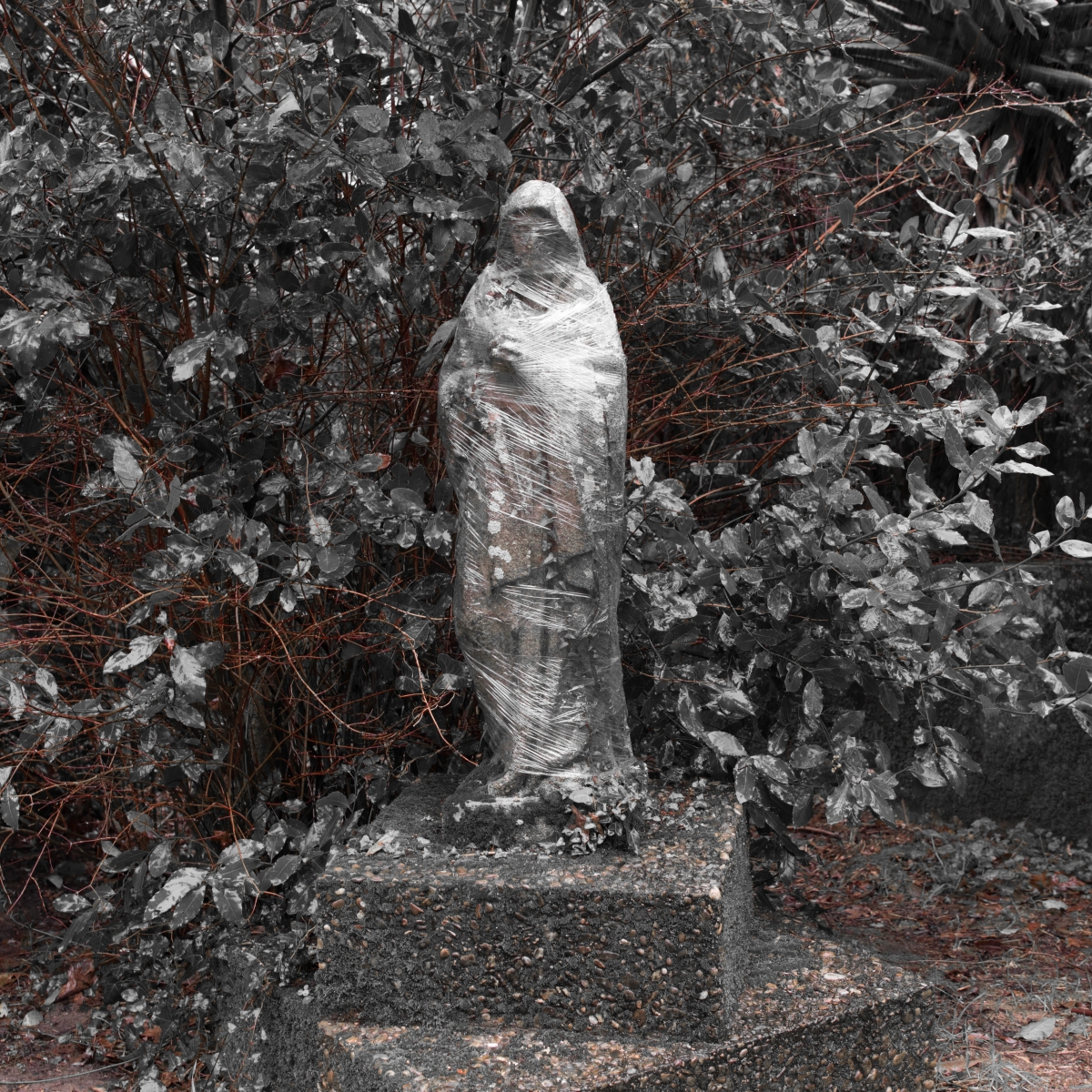 Sobre la frustración